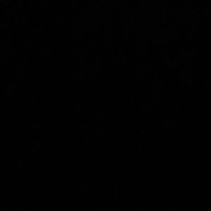 Meet your Posher, R j